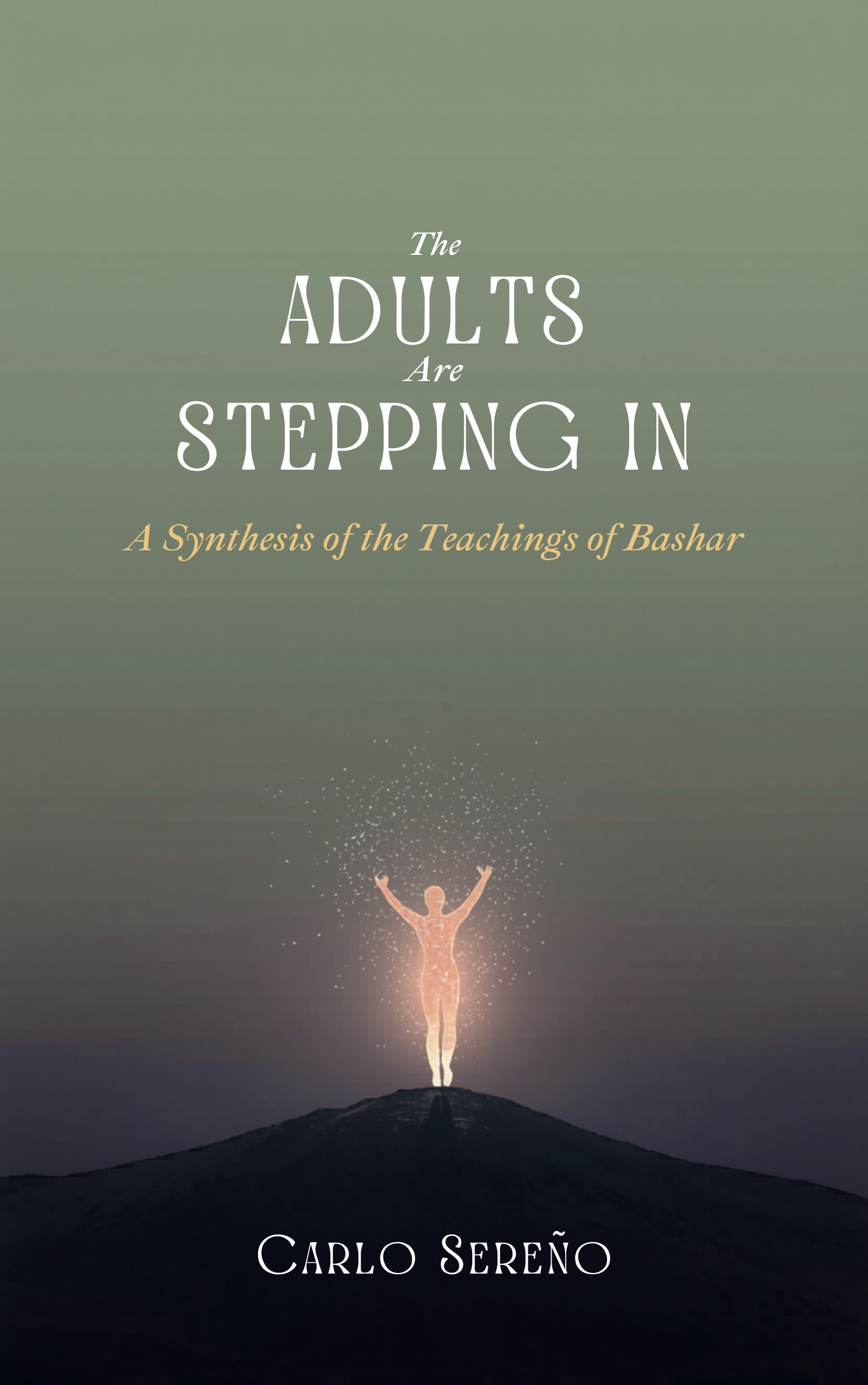 The Adults Are Stepping In cover